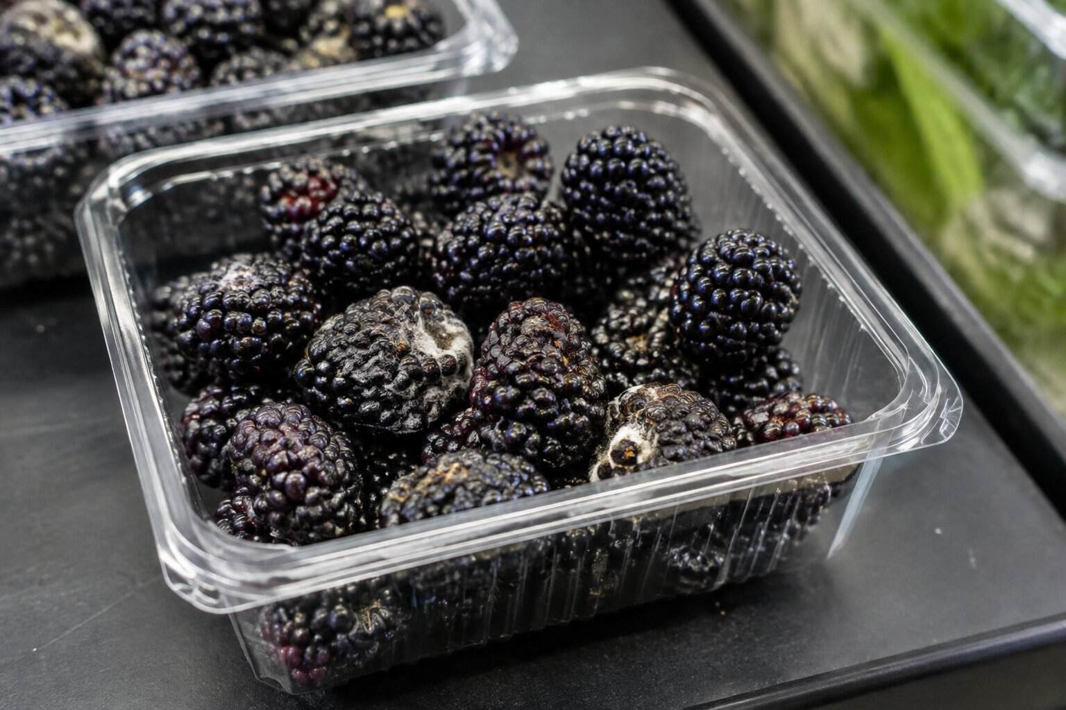 A container of blackberries with a few visibly spoiled berries on a grocery store display.