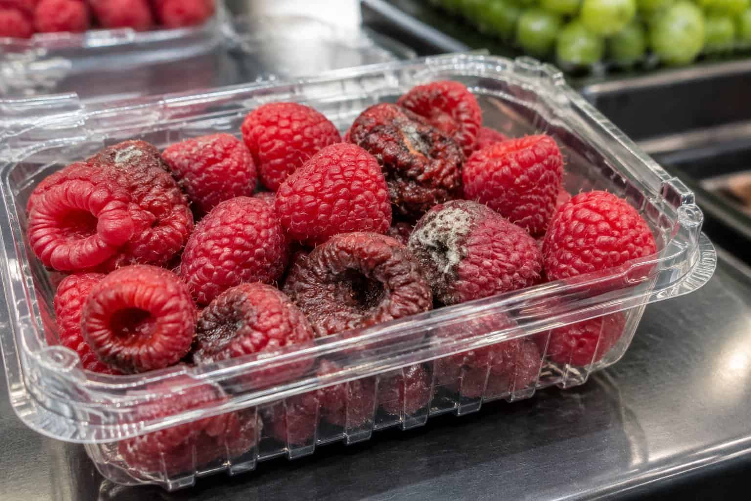 A container of raspberries with several bruised and spoiled berries.
